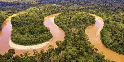 Hutan Amazon yang Penuh Misteri, Berani?
