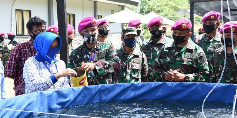 Dankormar Tebar Ribuan Ikan dan Udang Serta Panen Raya Padi