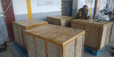 Gagal Diselundupkan, Ciblek dan Gelatik Batu Jadi Penghuni Taman Wisata Alam Sibolangit