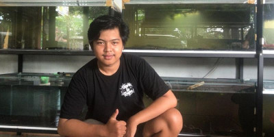 Berawal dari Hobi, Anak SMA Ini Raup Jutaan Rupiah Bisnis Ikan Hias