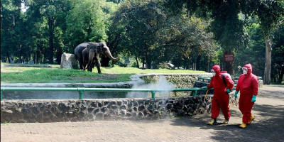 Pengunjung Ragunan Belum Ramai 