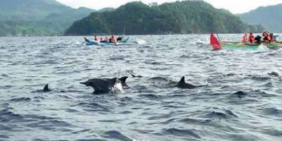 11 Tempat Wisata Primadona di Kabupaten Tanggamus, Provinsi Lampung