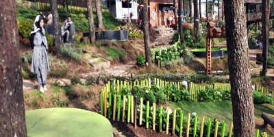 Perhutani Buka 38 Objek Wisata Alam, Cek Daftarnya