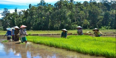 Jumlah Desa Mandiri di Jabar Naik 202 Persen