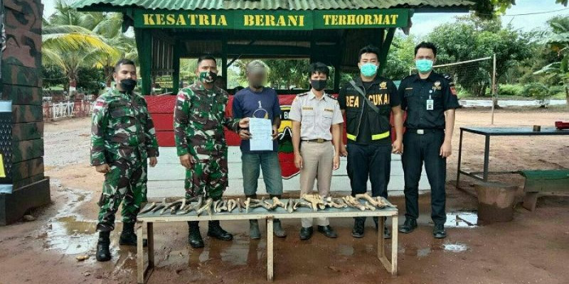 Lewat Jalur Tikus, Pelaku Penyelundupan Tanduk Rusa ke Indonesia Dibekuk Petugas