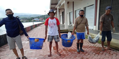 Penuhi Gizi Pasien Covid-19, Ikan dari Ambon Terbang ke Ibu Kota