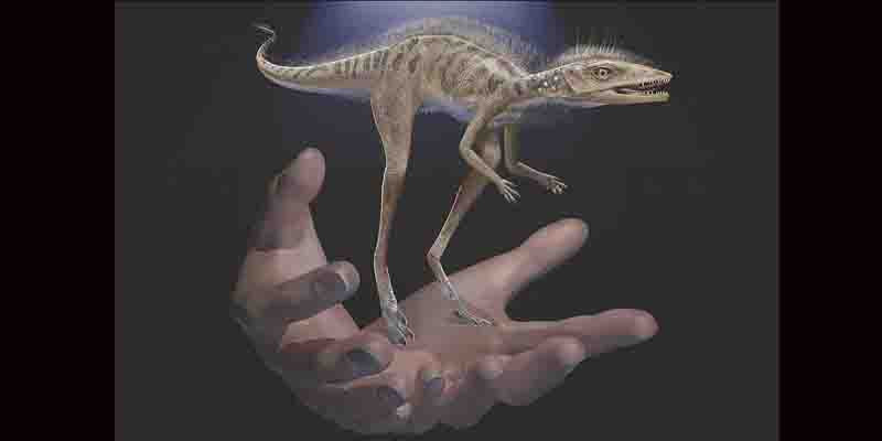 Nenek Moyang Dinosaurus Ternyata Sangat Kecil