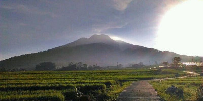 Diganggu Penunggu Gunung Ungaran, Bertemu Rombongan Perempuan Mandi di Hutan