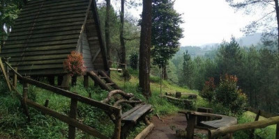 Hutan Pinus Rahong, Destinasi Wisata Nan Sejuk Pilihan Keluarga