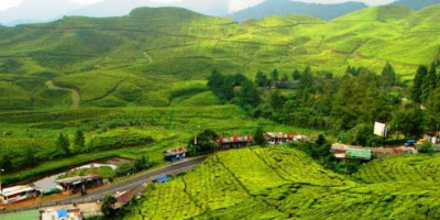 Wisata Alam yang Dekat Jadi Pilihan Wisatawan Saat Adaptasi Kebiasaan Baru