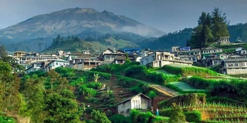 Butuh Kaliangkrik, Desa di Kaki Gunung Sumbing yang Mirip Kota di Nepal
