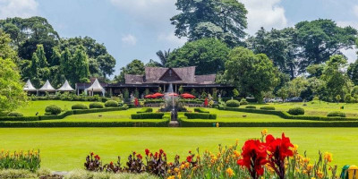 Kebun Raya Bogor Sudah Dibuka, Catat Waktu Kunjungannya 