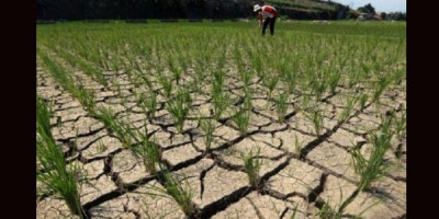 Empat Kabupaten Berstatus Awas Kemarau 