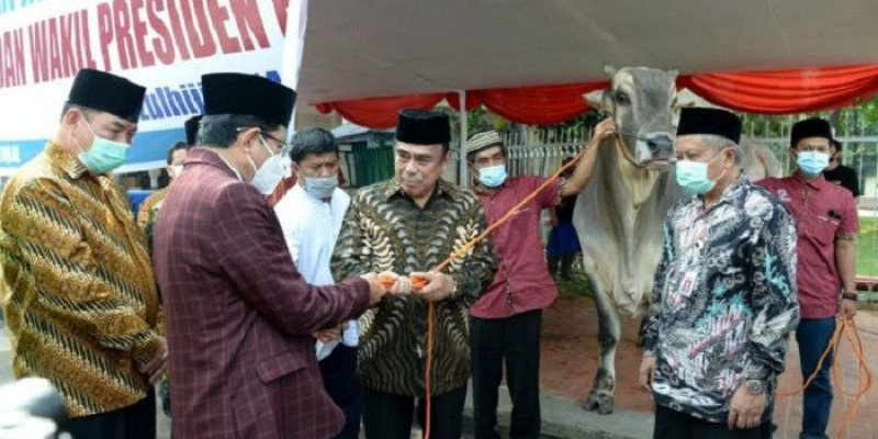 Diwakili Menag, Jokowi Serahkan Sapi Kurban ke Masjid Istiqlal