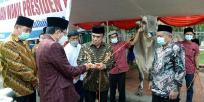 Diwakili Menag, Jokowi Serahkan Sapi Kurban ke Masjid Istiqlal