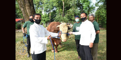 Dankormar Sembelih Hewan Kurban 