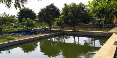 Pemancingan kang Ai, Tawarkan Kesejukan Dan Panorama Alam