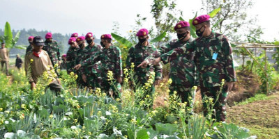 Jaga Ketahanan Pangan, Marinir Adakan Serbuan Teritorial di Cipanas