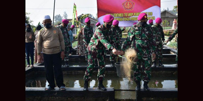 Tabur Benih Tanam Bibit 