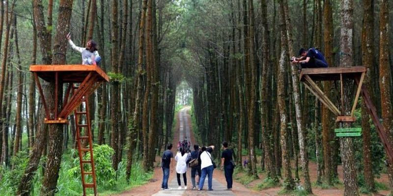 Andil Pariwisata dalam Pelestarian Hutan Indonesia