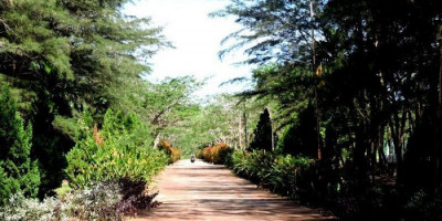 Bangka Botanical Garden (BBG) di Pangkal Pinang, Destinasi Agrowisata yang Eksotik