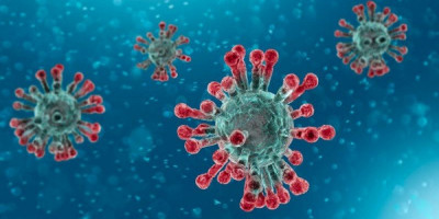 6 Penumpang Pesawat Positif Covid-19, Gubernur Kalbar Langsung Beri Sanksi