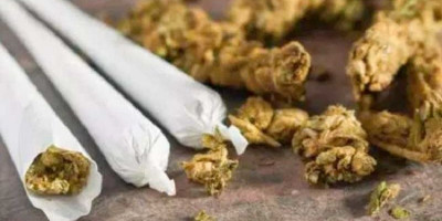 Barang Bukti Satu Kilogram Ganja, Drummer J-Rocks dan 3 Rekannya Ditangkap Polisi