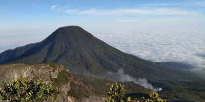 Hore, Jalur Pendakian Gunung Gede-Pangrango Sudah Dibuka