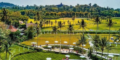 Bikin Betah, Ada Sawah Instagramable Banget di Magelang