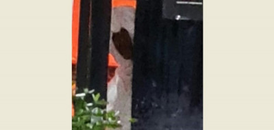 Ngeri, Sosok Pocong Terlihat Jelas di Rumah Panji Petualang