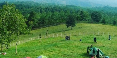 Objek Wisata Mirip di New Zealand Ini Ada di Serang, Namanya Agro Bukit Waruwangi