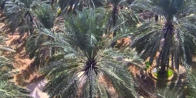 Abu Bashir Radhiallahu 'Anhu Lari dari Kekufuran
