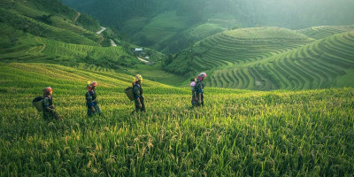 Kampung Reforma Agraria Bukti Mulai Lahirnya Kesejahteraan Petani