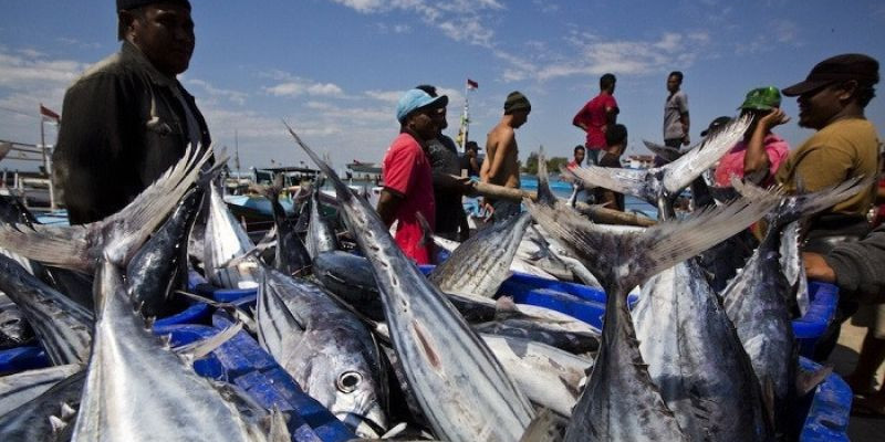 China Larang Produk Perikanan Indonesia, Ini Penjelasannya