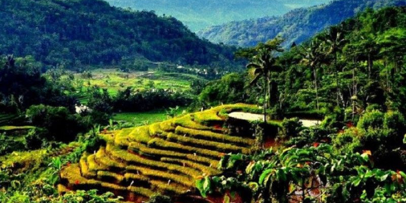 Desa Gunung Jampang, Wisata Alam Buatan Mirip Ubud di Bali 