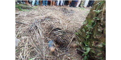 Jadi Korban Begal, Mayat Rani Angreni Ditutupi Pelepah Sawit