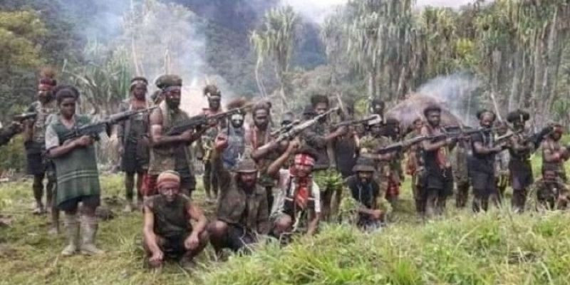 Polisi Dapat Laporan, KKB di Papua Siap Perang Terbuka