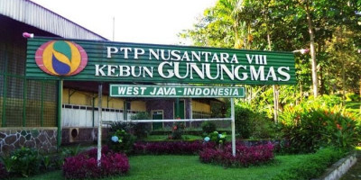 Liburan ke Puncak Sebaiknya Ditunda Dulu, Sedang Rawan 