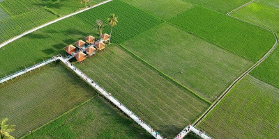 Wisata Sawah Desa Huntu Selatan Digandrungi Wisatawan