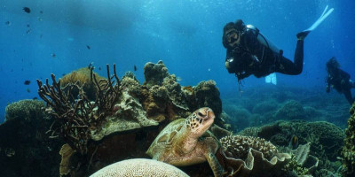 Pelaku Usaha Wisata Selam di Labuan Bajo Dihimbau Terapkan CHSE