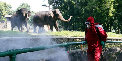 Taman Margasatwa Ragunan Batasi Pengunjung 2000 Orang Per Hari 