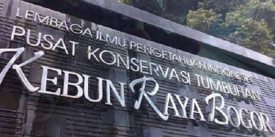 Penataan Taman Anggrek Kebun Raya Bogor Masuki Tahap Akhir, Ini Harapan Pak Menteri Basuki