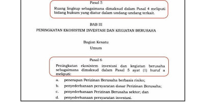 Gimana Sih, Sudah Disahkan Presiden UU Cipta Kerja Masih Salah Ketik