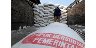 Kartu Tani Belum Maksimal, Banyak Petani Kesulitan Pupuk Subsidi