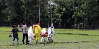 Bahaya, Sudah 9 Orang Tewas Kena Jebakan Tikus Berlistrik