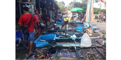 Ikan Cupang Bikin Satpol PP Jatinegara Perketat Protokol Kesehatan