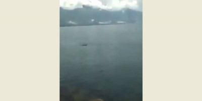 Asyik Berenang di Pantai, Seorang Pria Nyaris Diterkam Buaya