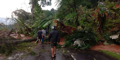 Longsor di Cianjur Telan Satu Korban Jiwa