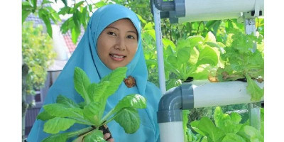 Berkebun Urban Organik Bisa Sembuhkan Bumi