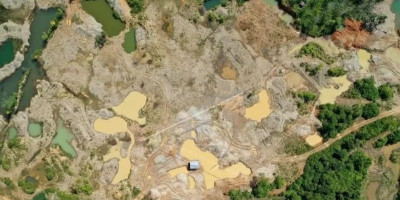 5000 Hektare Hutan Lindung Nagan Raya Rusak Akibat Tambang Ilegal